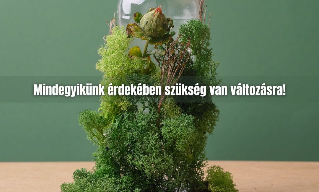A hulladékmentes kávézás, amit mindenki szeretne
