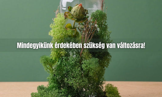 A hulladékmentes kávézás, amit mindenki szeretne